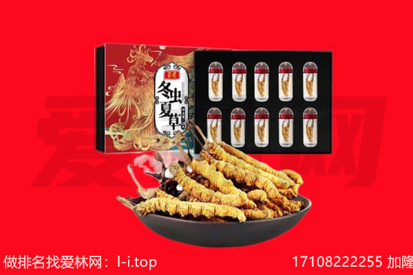 肇源县回收虫草.jpg